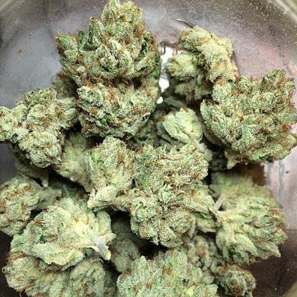 og kush cannabis pics